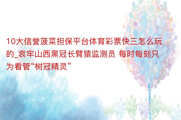 10大信誉菠菜担保平台体育彩票快三怎么玩的_哀牢山西黑冠长臂猿监测员 每时每刻只为看管“树冠精灵”